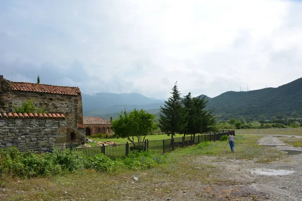 Kafkasya Gürcistan Mtskheta Seyahat Eski Şehir Bina Kaldırım — Stok fotoğraf