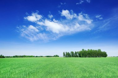 Yeşil alanları, mavi gökyüzü ve arka plan beyaz bulutlar görünümünü