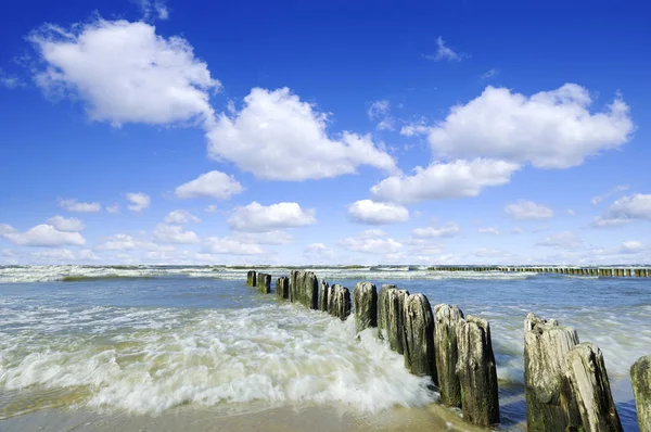 Морський Пейзаж Ряд Дерев Яних Стосів Піщаному Пляжі Блакитне Небо — стокове фото