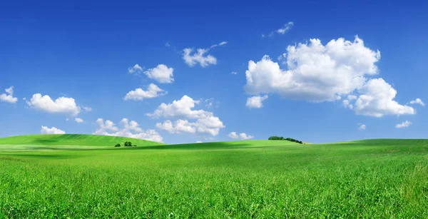 Pastoral manzara, yeşil alanlar, mavi gökyüzü ve beyaz bulutlar arka planda çalışırken