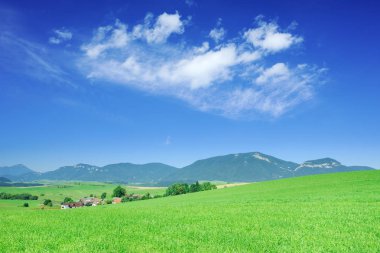 Yeşil alanlar, mavi gökyüzü ve arka plan beyaz bulutlar bulutlar görünümü