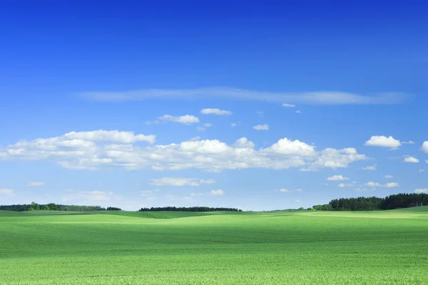 Idylické Louky Jarní Krajina Zelené Louky Modrou Oblohu Bílé Mraky — Stock fotografie