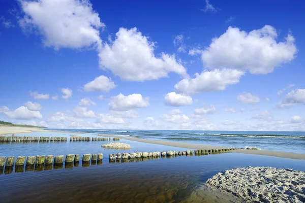 Seascape Række Træ Bunker Sandstrand Blå Himmel Hvide Skyer Baggrunden - Stock-foto