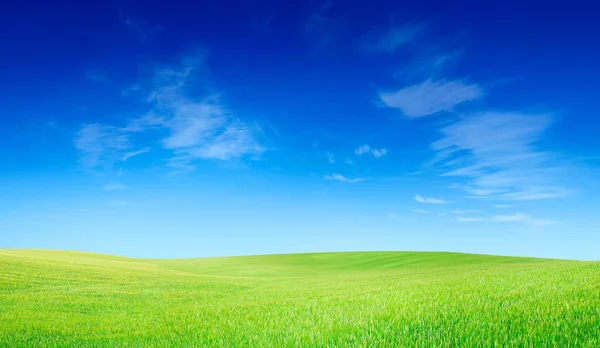 Pastoral manzara, yeşil alanlar, mavi gökyüzü ve beyaz bulutlar arka planda çalışırken