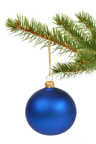 Синій Різдвяний Гілці Зеленої Ялинки — стокове фото