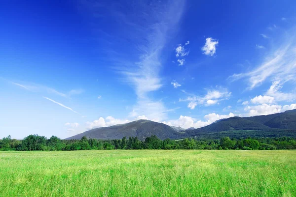 Mountain View Green Fields Blue Sky White Clouds Background — Stock Photo, Image