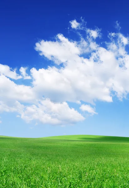 Pastoral bahar manzara, yeşil alanlar, mavi gökyüzü ve beyaz bulutlar arka planda çalışırken