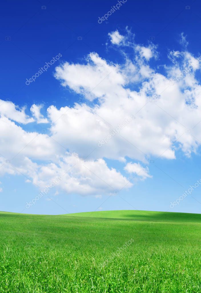 Idyllic spring landscape, rolling green fields, blue sky and white clouds in the background
