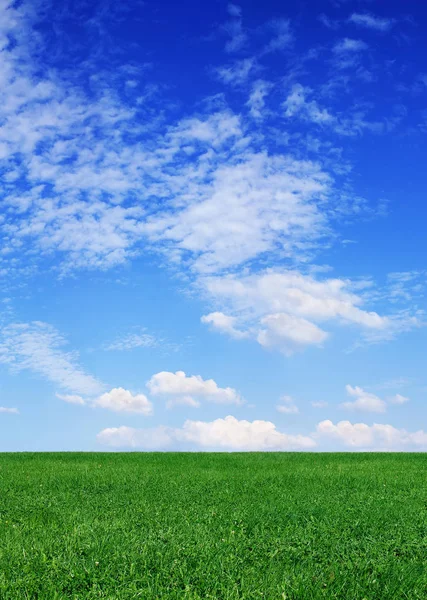 Idyllische Lente Landschap Gewone Groene Velden Blauwe Hemel Witte Wolken — Stockfoto