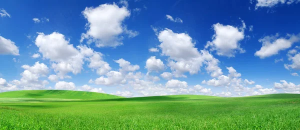 Ειδυλλιακό Ανοιξιάτικο Τοπίο Τροχαίο Πράσινα Λιβάδια Μπλε Ουρανό Και Άσπρα — Φωτογραφία Αρχείου