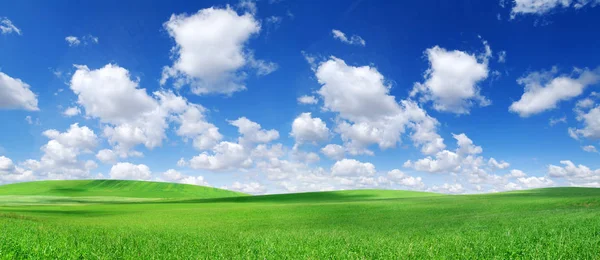 Idyllic spring landscape, rolling green fields, blue sky and white clouds in the background