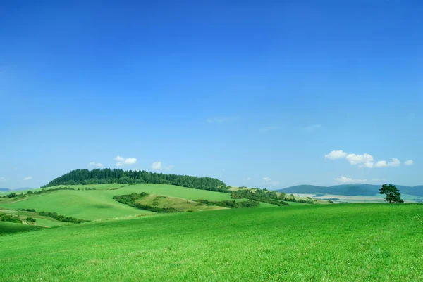 Paisagem Vista Campos Rolamento Verde Céu Azul Nuvens Brancas Fundo — Fotografia de Stock