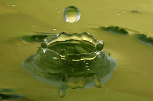 Splash portre. Damla yağmur yağmaya yeşil su yüzeyi.
