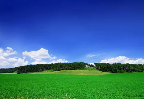 Вид Горы Зеленые Катящиеся Поля Голубое Небо Белые Облака Заднем — стоковое фото