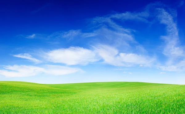 Ειδυλλιακό Τοπίο Πράσινο Πεδίο Μπλε Ουρανό Και Άσπρα Σύννεφα — Φωτογραφία Αρχείου