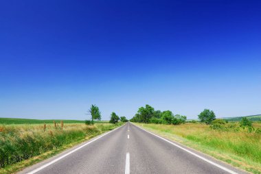 Yeşil alanları, mavi gökyüzü arka plan arasında yol
