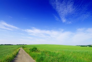 Pastoral manzara, yeşil alanlar, mavi gökyüzü içinde TZB arasında kırsal yolu