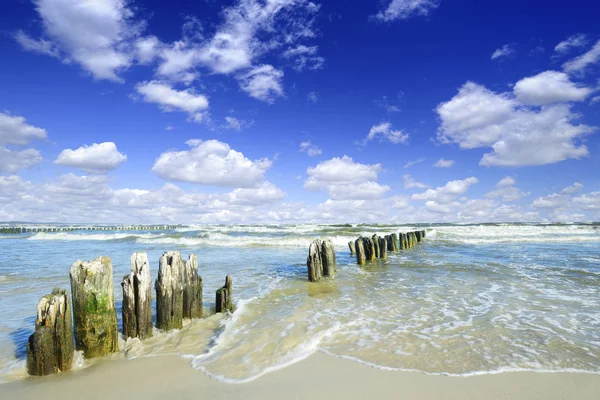 Paisagem marítima, fileira de pilhas de madeira em uma praia arenosa — Fotografia de Stock