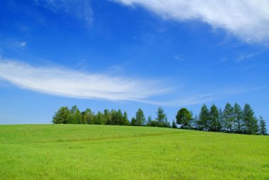 Pastoral manzara, yeşil alanları ve mavi gökyüzü görünümü