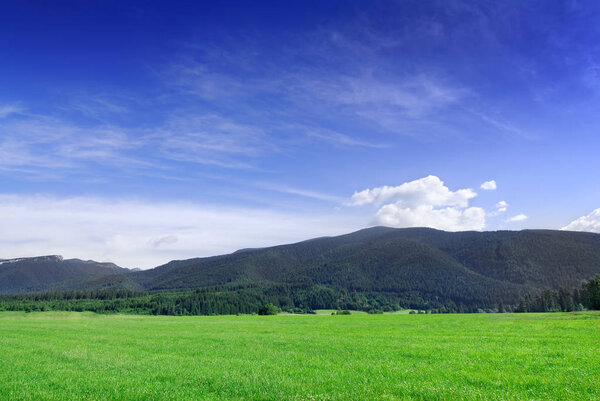 Mountain landscape, view of green field under the blue sky