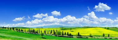 Panoramik pastoral görünümü, yeşil alanlar Toskana haddeleme