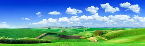 Idyllisch uitzicht, groene glooiende velden van Toscane — Stockfoto