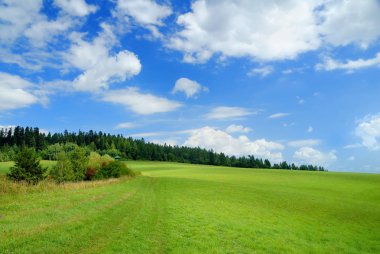 Pastoral manzara, yeşil alanları ve mavi gökyüzü görünümü
