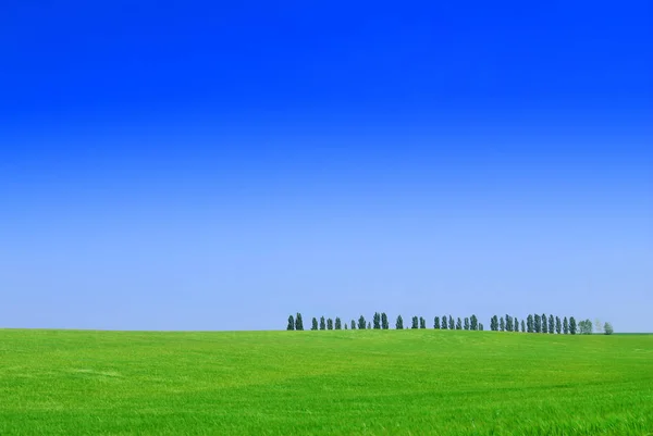 Idyll, vista do campo verde e do céu azul — Fotografia de Stock