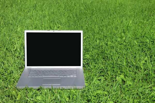 Laptop lying on green grass