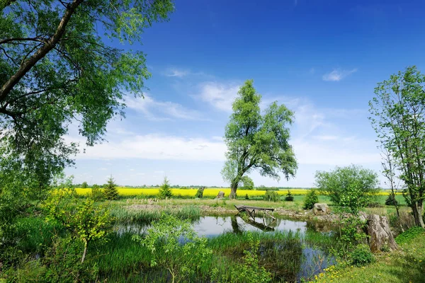 Small pond among fields — Stock Photo, Image