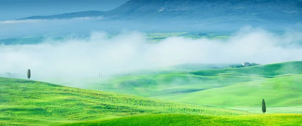 Vue idyllique, collines toscanes brumeuses au lever du soleil — Photo
