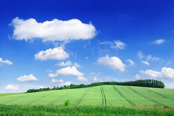 Idylle, uitzicht op de groene velden en blauwe hemel met witte wolken — Stockfoto