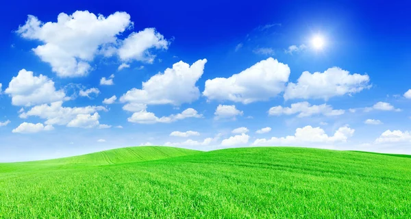 Pastoral görünümü, alanları inişli çıkışlı yeşil üzerinde parlayan güneş