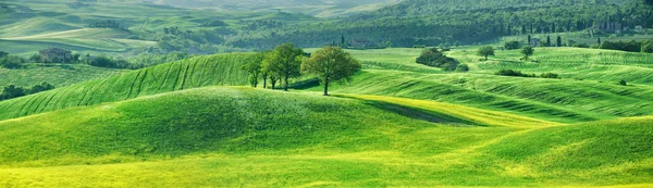 Vista idílica, bela paisagem italiana, campos verdes de Tusca — Fotografia de Stock