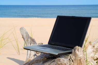 Modern dizüstü sahilde yalan