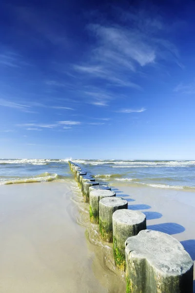 Zee landschap, rij van houten palen op een zandstrand — Stockfoto