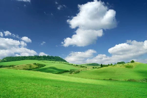 Paisagem, vista de campos rolantes verdes — Fotografia de Stock