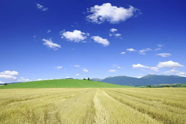 Landschaft, Blick auf Felder nach der Ernte — Stockfoto