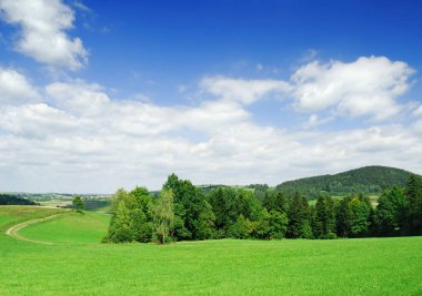 Pastoral manzara, yeşil alanları ve mavi gökyüzü görünümü