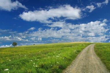 Manzara, yeşil alanlar, mavi gökyüzü backgr arasında kirli yol