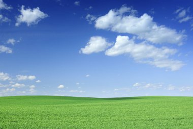 Pastoral görünümü, yeşil alan ve mavi gökyüzü beyaz bulutlar ile