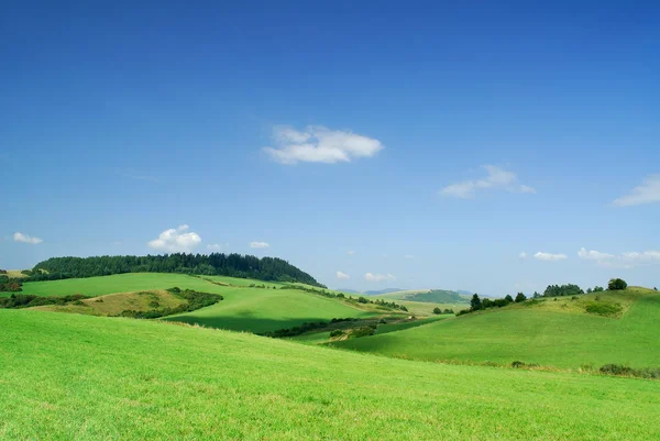 Paisagem, vista de campos rolantes verdes — Fotografia de Stock