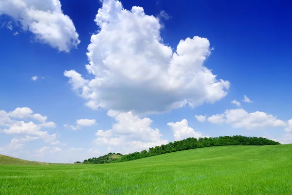 Idyllische landschap, uitzicht op de groene velden en blauwe hemel — Stockfoto
