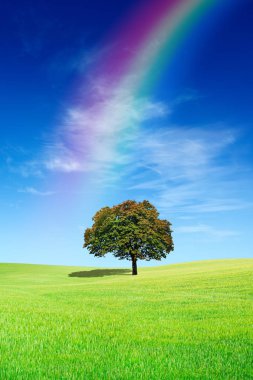 Pastoral manzara, gökkuşağı yeşil alanı ile yalnız ağaç