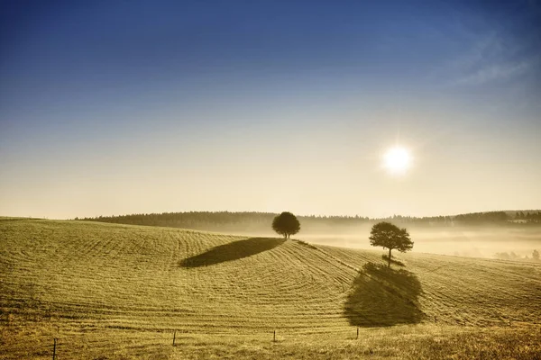 Vista idílica, niebla campos toscanos a la luz del sol naciente — Foto de Stock