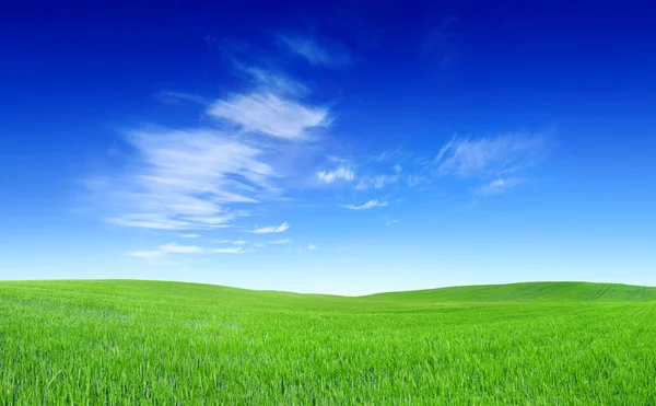 Pastoral görünümü, yeşil tepeler ve mavi gökyüzü