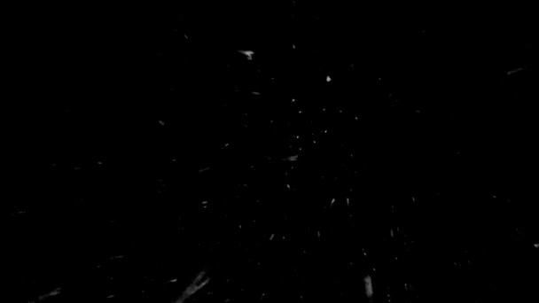 Flocos Neve Cair Perfeito Para Uso Seus Projetos — Vídeo de Stock