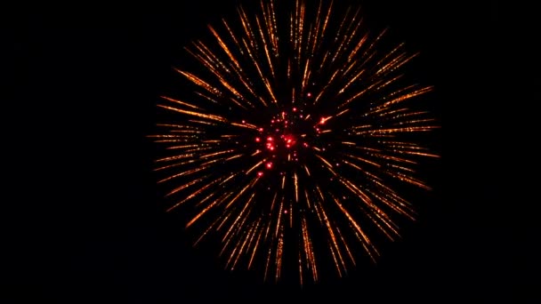 Feestelijke één vuurwerk in de nachtelijke hemel — Stockvideo