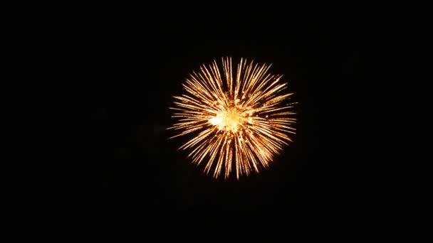 Fuegos artificiales festivos en el cielo nocturno — Vídeo de stock