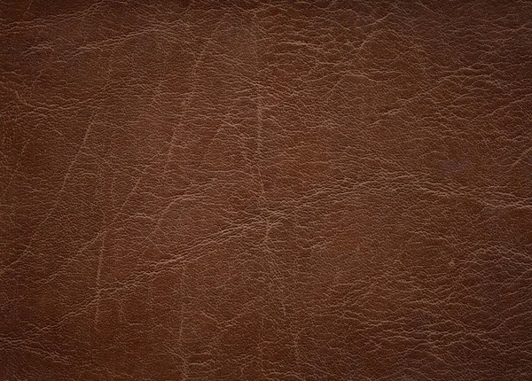An image of a nice leather background. Cowhide texture. — Stock Photo, Image